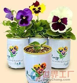 批發易拉罐花卉價格、廠家及機械設備全解析——世界工廠網產品信息庫指南